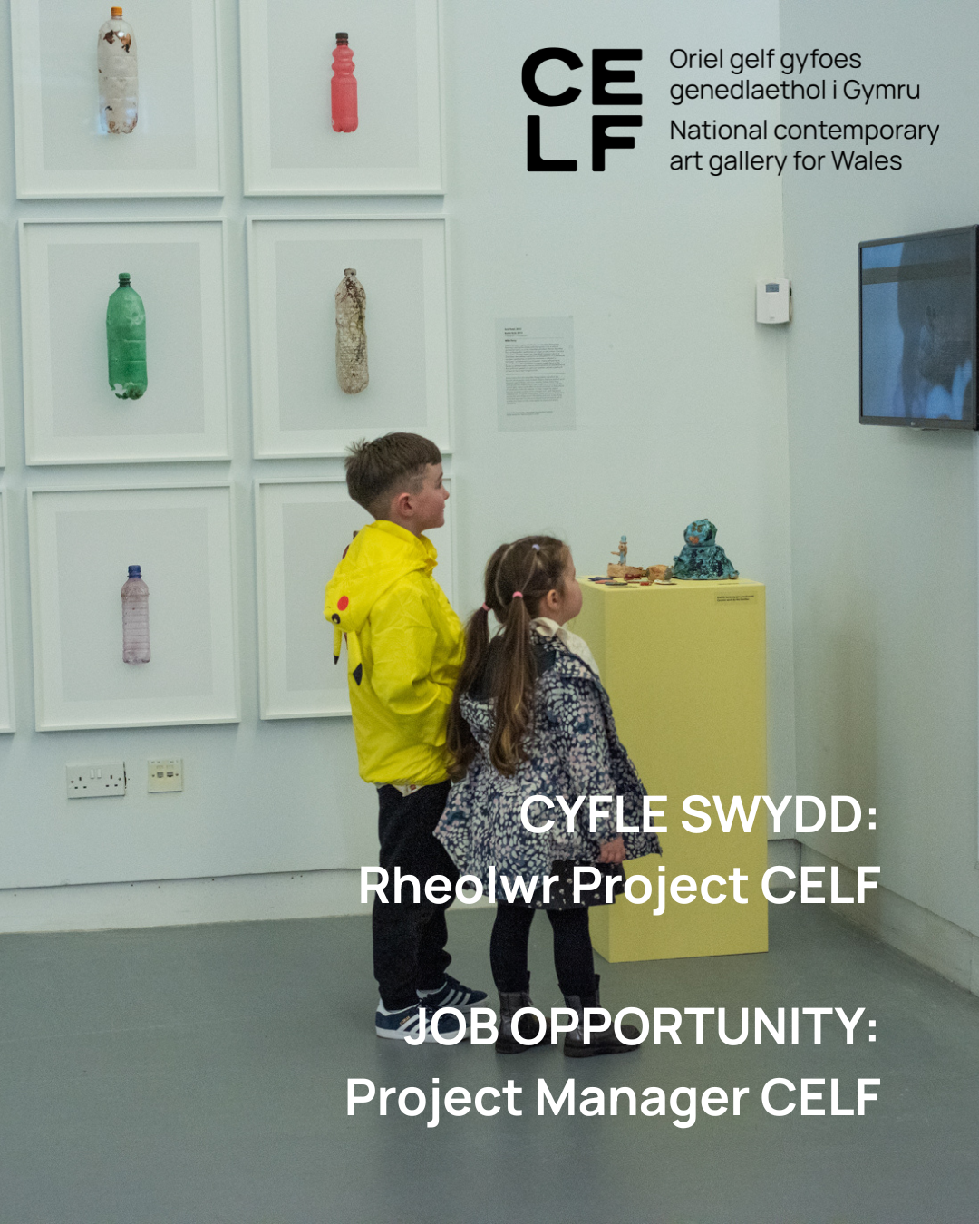 CELF Job opportunity
