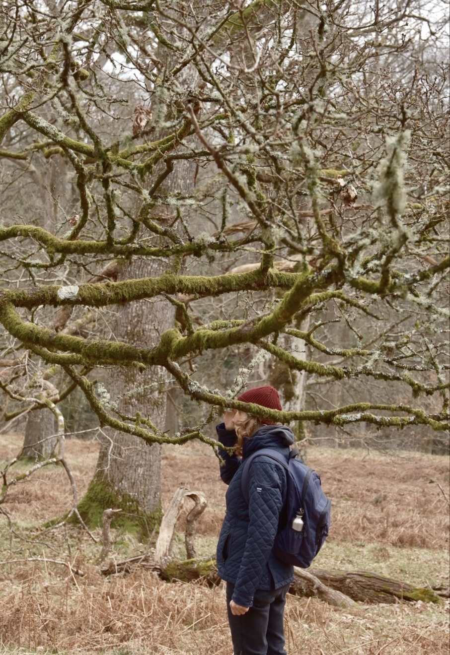 Becoming Lichen