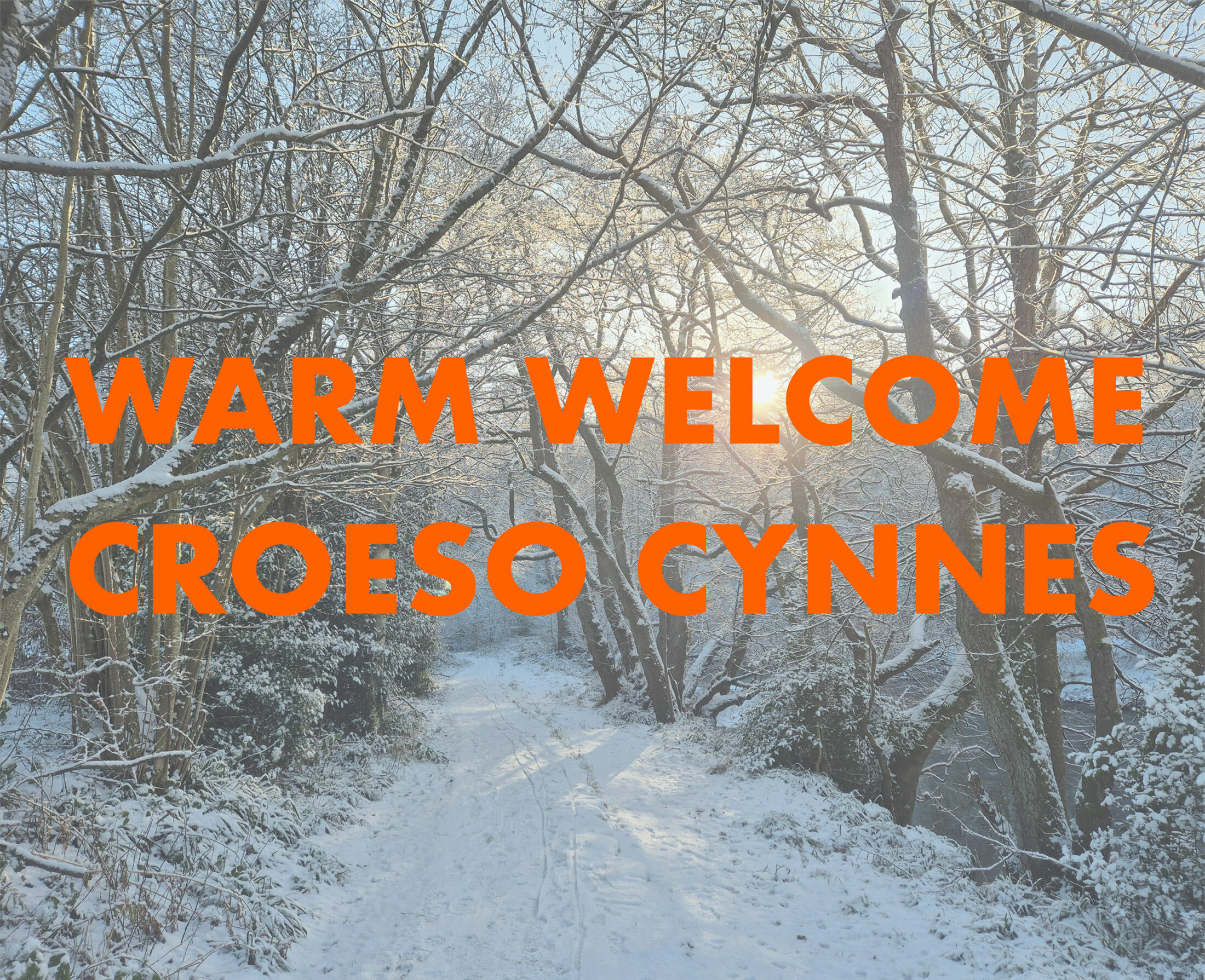 Warm Welcome
