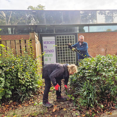 Garden Volunteer