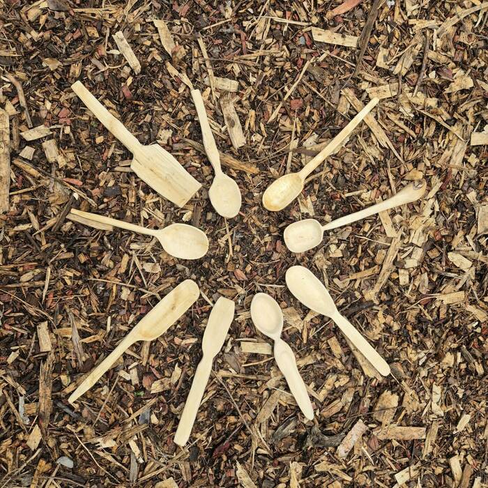 Spoon Carving