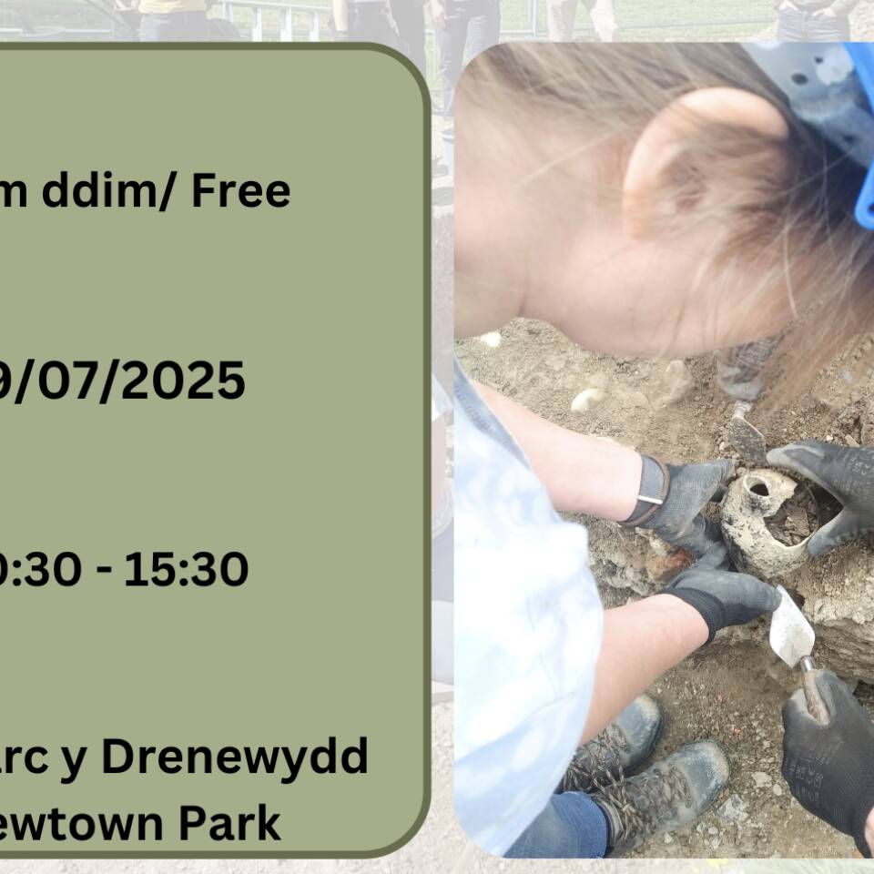 Newtown Festival of Archaeology on 19th July