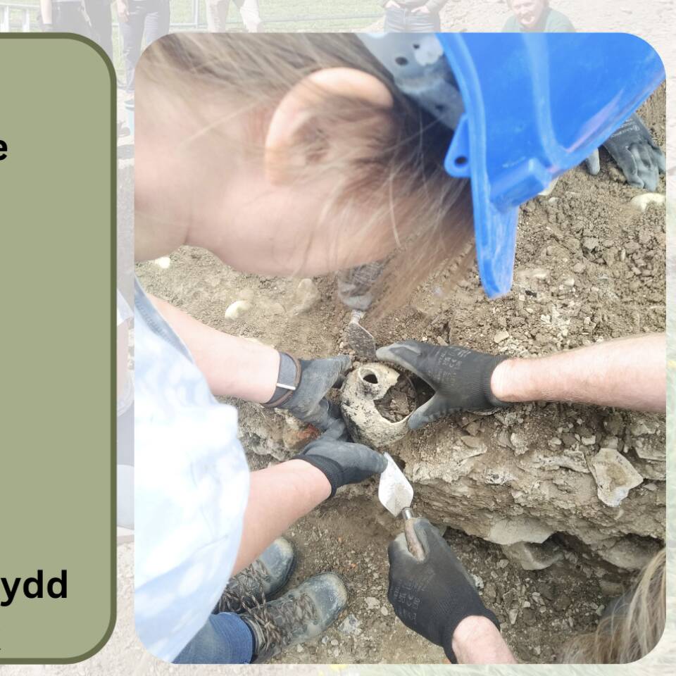 Newtown Festival of Archaeology on 19th July