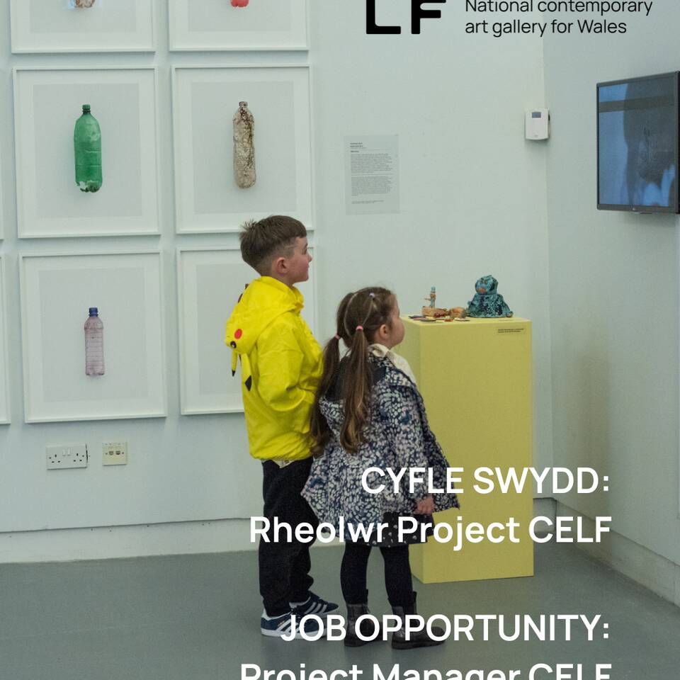 CELF Job Opportunity