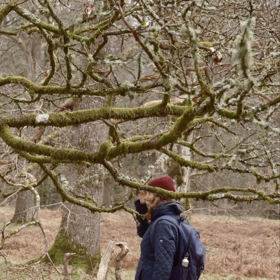 New date for our previously postponed Lichen Walk, 11th October.