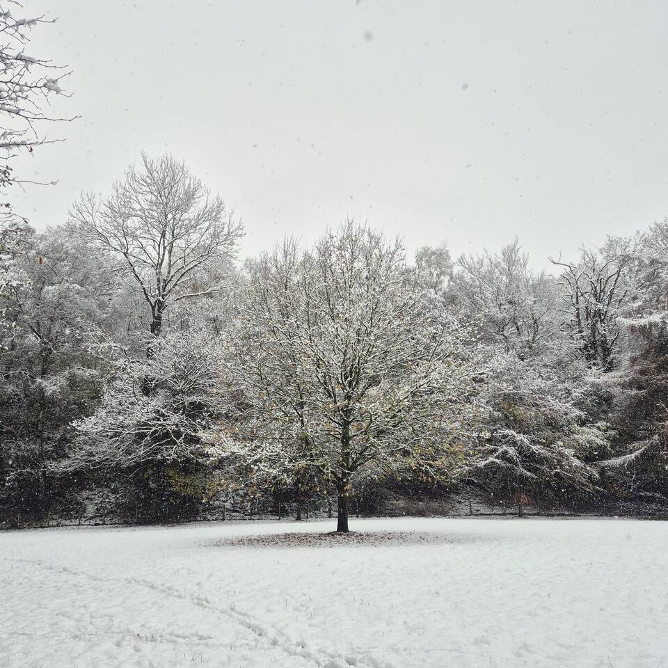 December opening hours