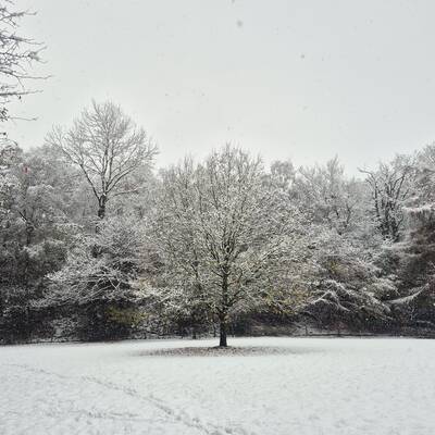 486233971 1094195342747198 326220158617105396 n