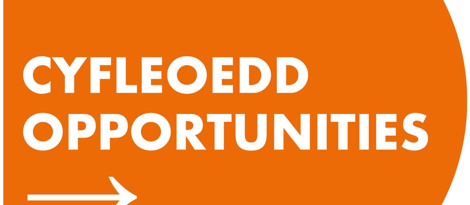 manual override of the alt attribute