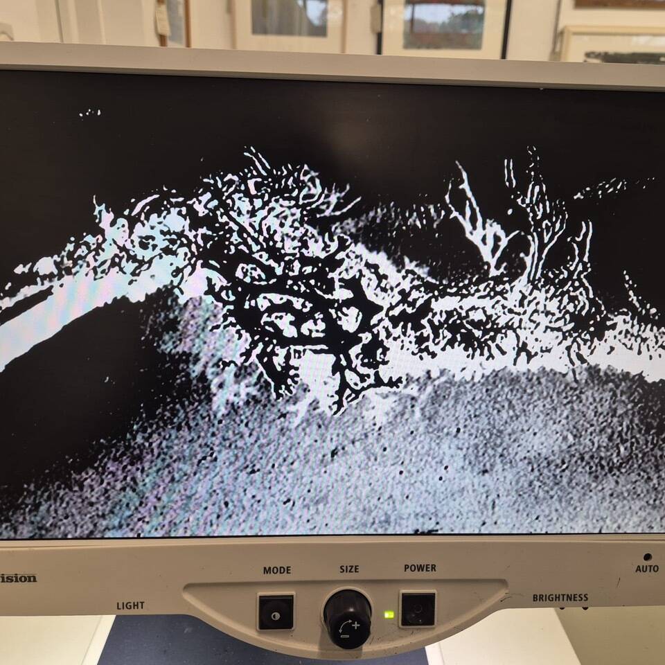 Becoming Lichen - irregular diary - part 9