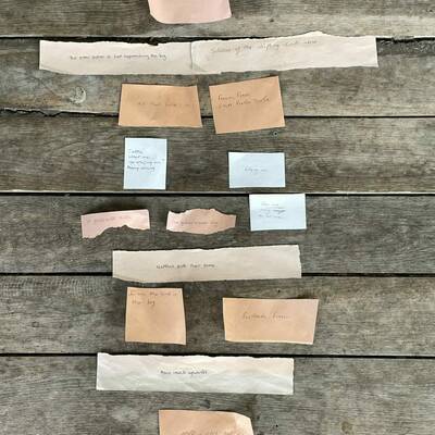 Image6