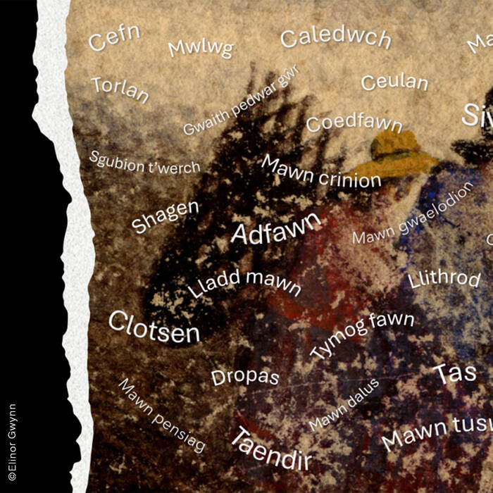 Weaving Words with Elinor Gwynn