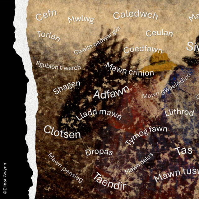 Gwau Geiriau gyda Elinor Gwynn