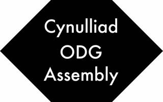 ODG Assembly