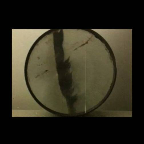 Lens and Feather