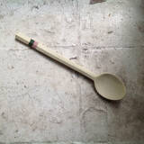 'Stig' - Holly Spoon