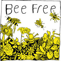 Square bee free1