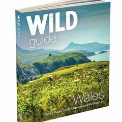 Wild Guide Wales and the Marches Book
