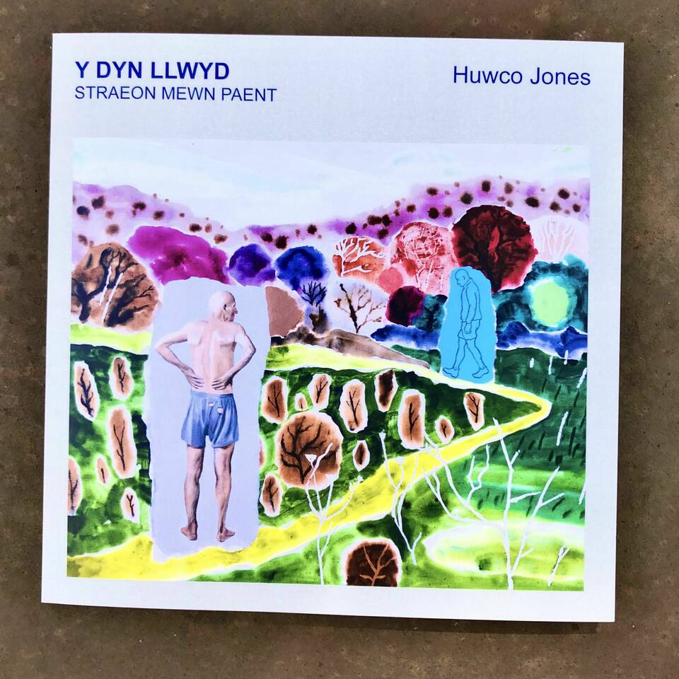 Y Dyn Llwyd - Huwco Jones