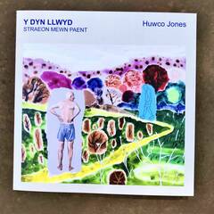 Y Dyn Llwyd - Huwco Jones