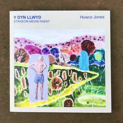 Y Dyn Llwyd - Huwco Jones