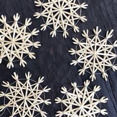 Willow Snowflake