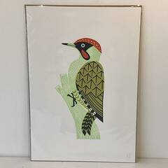 Claire Spencer - Green Woodpecker